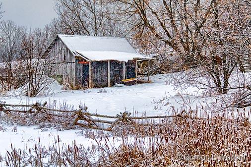 Rustic Shed_21651.jpg - Photographed near Smiths Falls, Ontario, Canada.